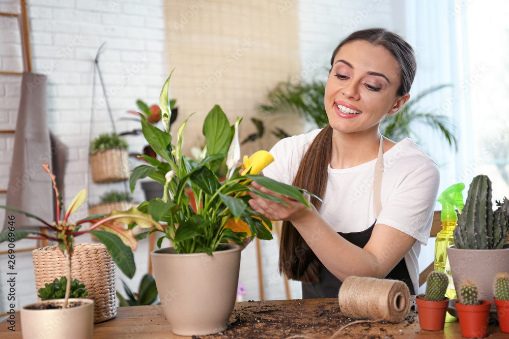 Young woman taking care of potted plants at home Young woman taking care of potted plants at home