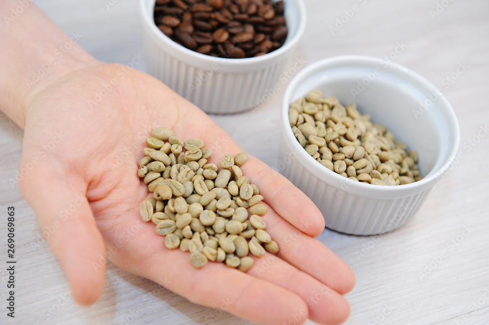 Roasted and unroasted coffee in bowls. Green coffee beans on the palm closeup Roasted and unroasted coffee in bowls. Green coffee beans on the palm closeup