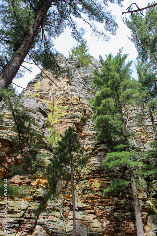 large rock face with straight and leaning trees large rock face with straight and leaning trees