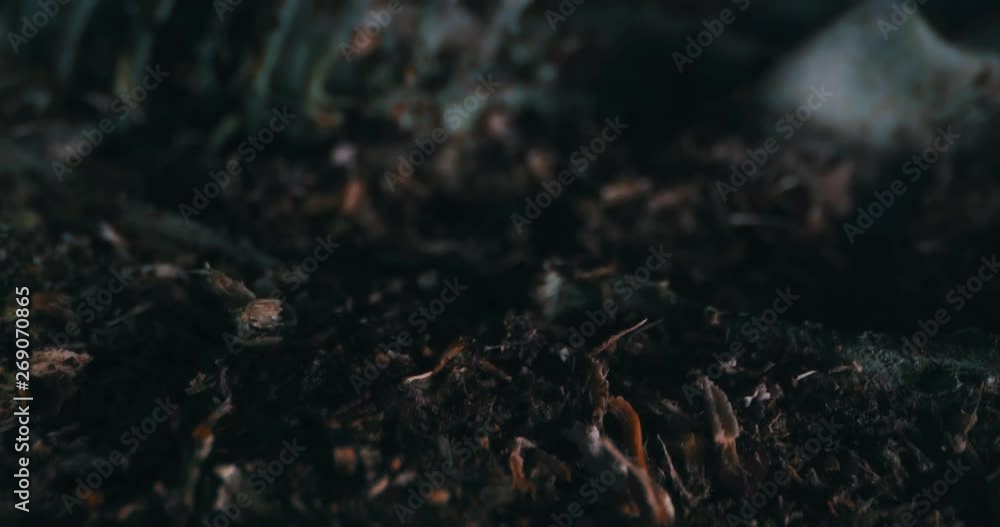 Panoramic View of a Skeleton. Wide Angle Macro 4K. 3D printed diorama Panoramic View of a Skeleton. Wide Angle Macro 4K. 3D printed diorama