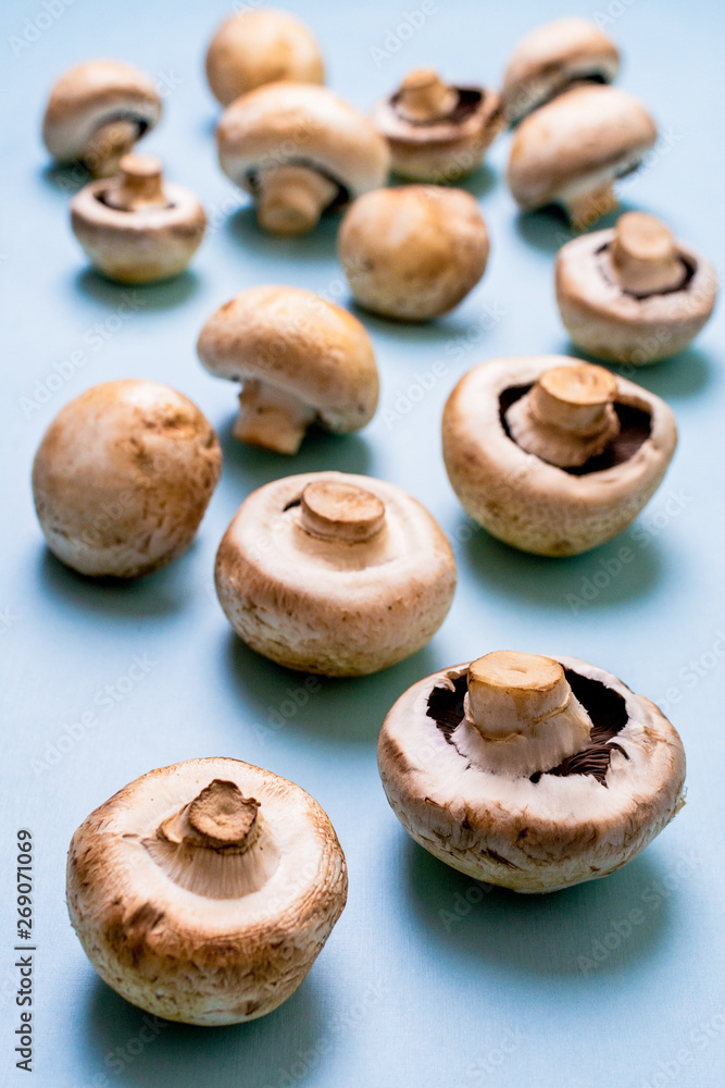 Champignon mushroom pattern on a blue background Champignon mushroom pattern on a blue background