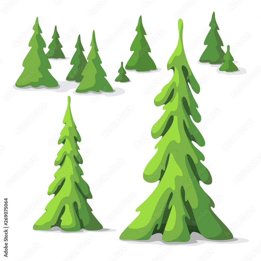 Obraz premium Pine tree set. Trees of different size. Graphic elements for landscape design in a cartoon style.
