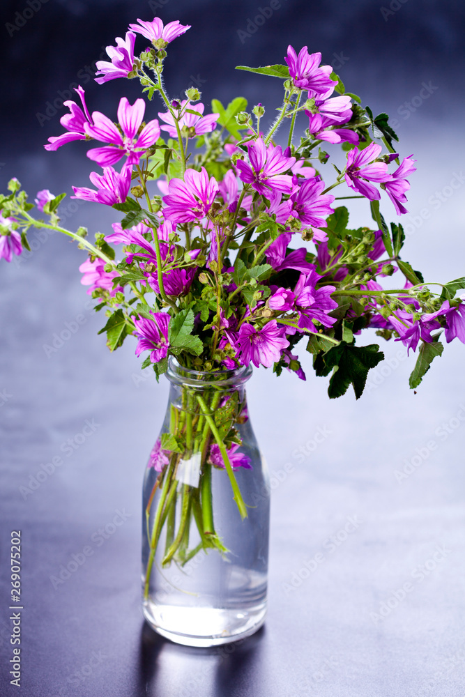 Wild violet flowers in glass bottle on black background. Wild violet flowers in glass bottle on black background.