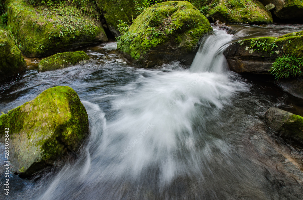 Obraz premium waterfall in forest