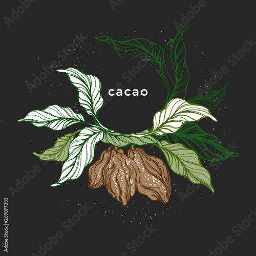 Cacao wreath. Natural chocolate. Vector template.