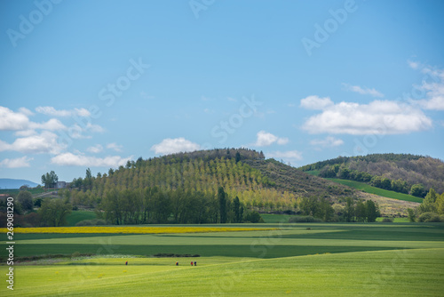 Beautiful agricultural landscape on the Way of St. James, Camino de Santiago between Ciruena and Santo Domingo de la Calzada in La Rioja, Spain photo