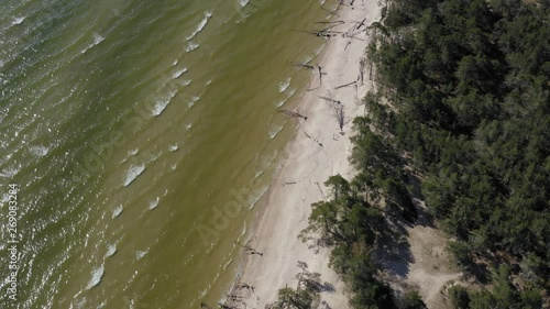 Wallpaper Mural Aerial descending shot of seashore with broken tree and a forest on the side Torontodigital.ca