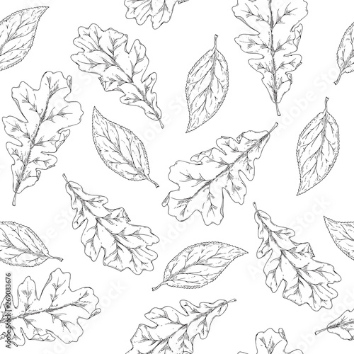 Seamless Pattern for Coloring with Autumn Leaves