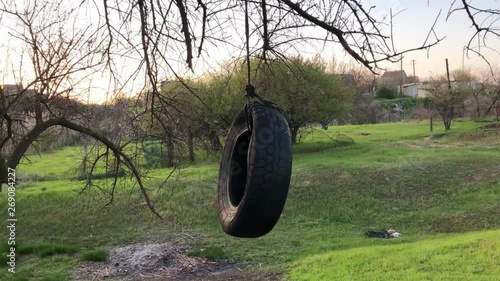 Tire from the wheel swinging on the tree