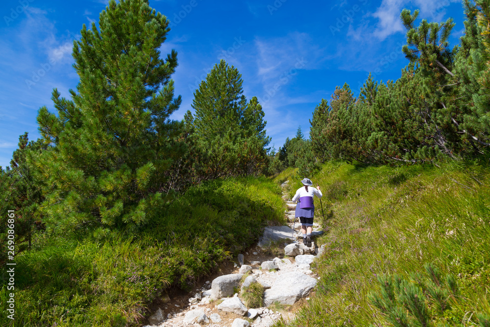 Fototapeta premium Woman - hiker. Climbing on Mountain Krivan