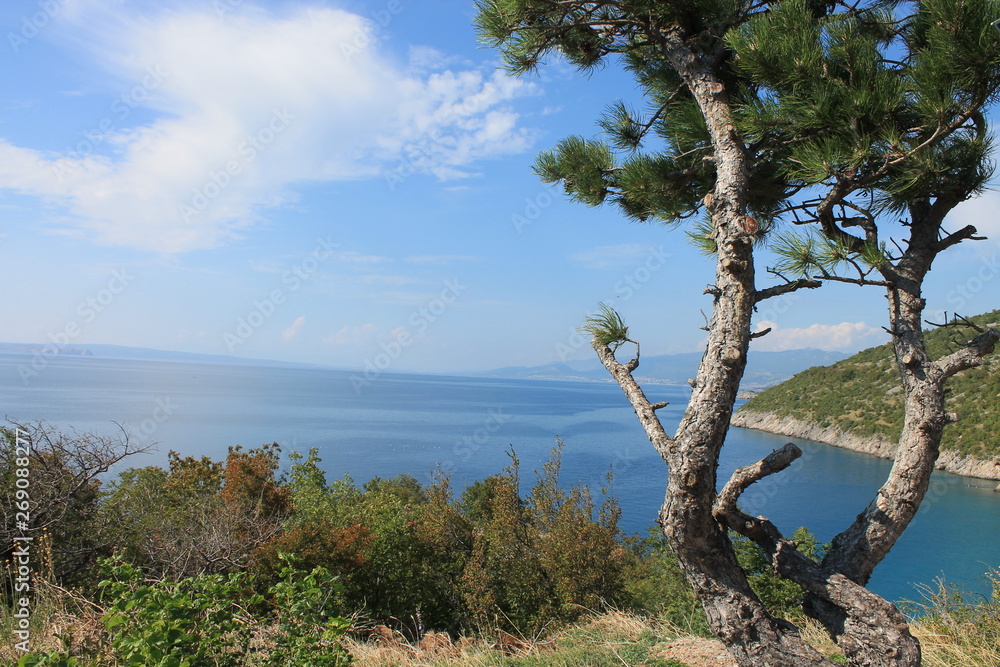 Obraz premium Tree&lake