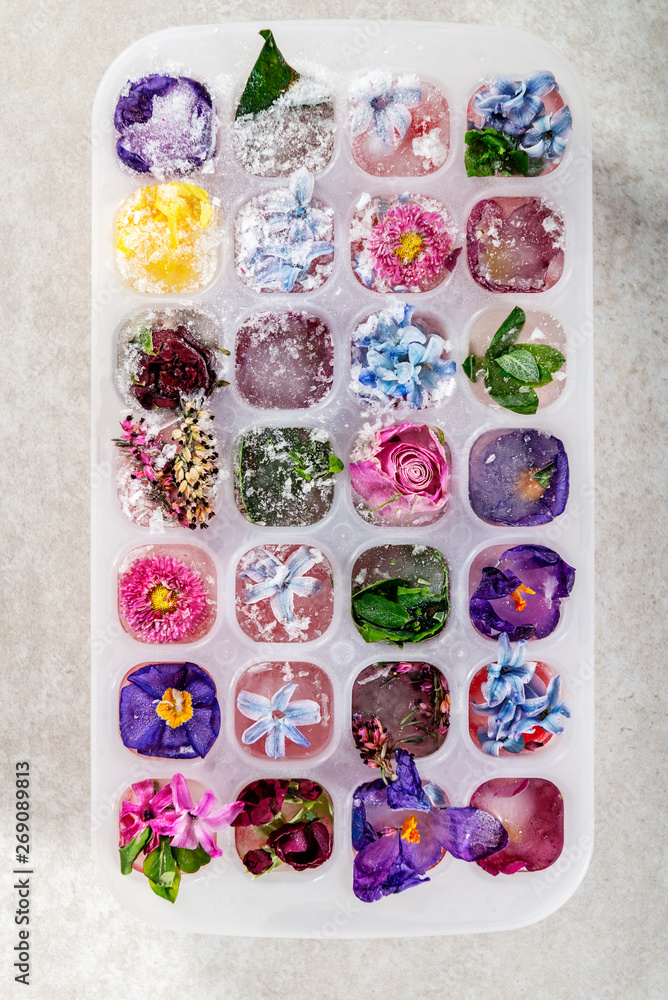 Tray with Frozen Flowers in Ice Cubes on grey Background, top view, close up image