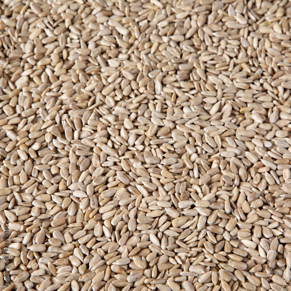 Hulled sunflower seeds, low angle view. Hulled sunflower seeds, low angle view.