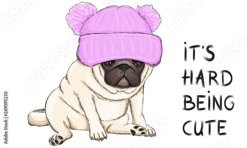 colorful vector illustration of funny pug puppy dog sitting down with pink knitted  hat and text its hard being cute