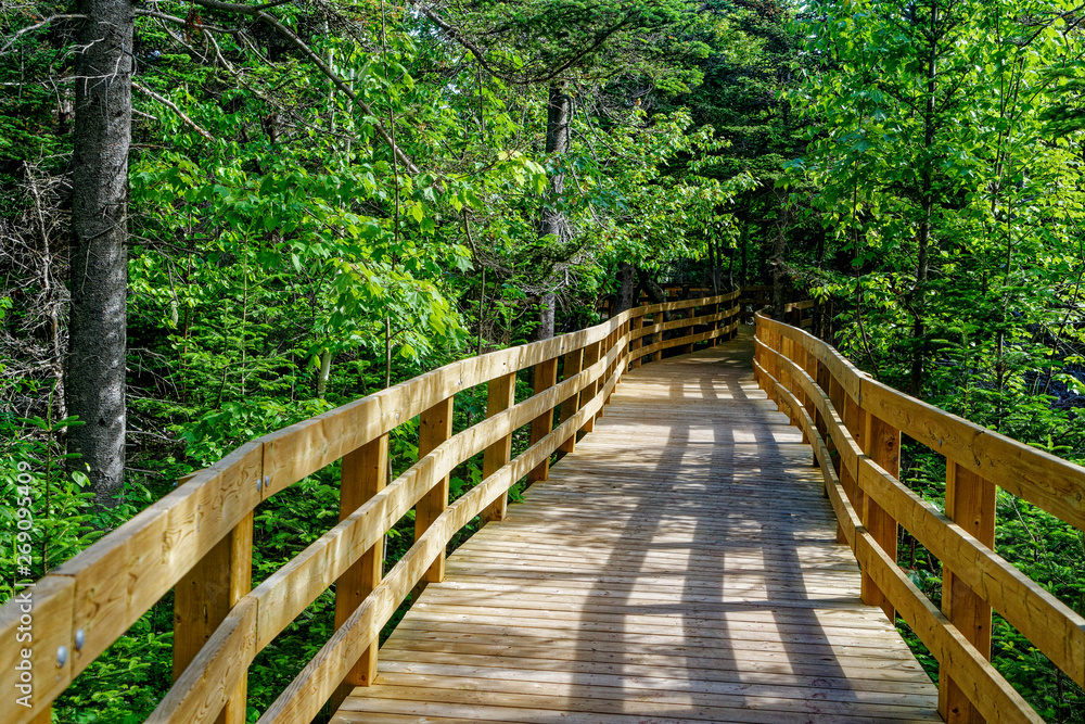 Boardwalk, part of the trail, across wetlands and through forest at Greenwich, Prince Edward Island National Park, PEI, Canada