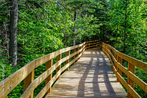Boardwalk, part of the trail, across wetlands and through forest at Greenwich, Prince Edward Island National Park, PEI, Canada