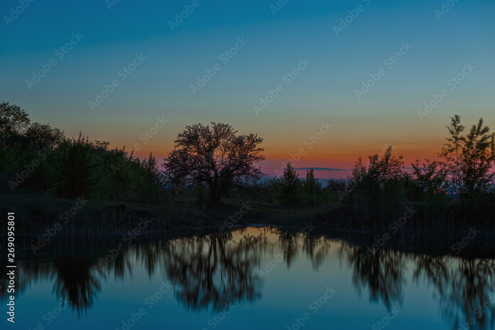Landscape with a tree on the lake after sunset.