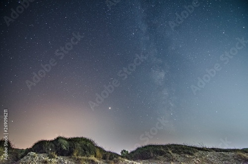Starry night sky with the milky way seen from the coast with vegetation in the foreground © giadophoto