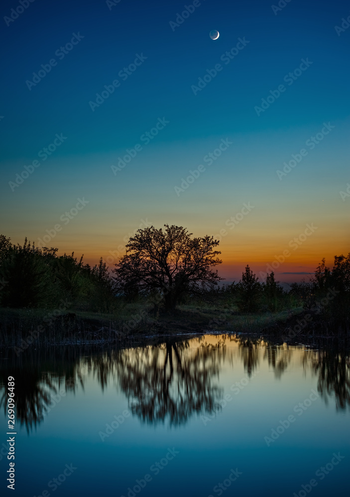 Night sky with the moon after sunset. Landscape with a tree by the lake. Night sky with the moon after sunset. Landscape with a tree by the lake.