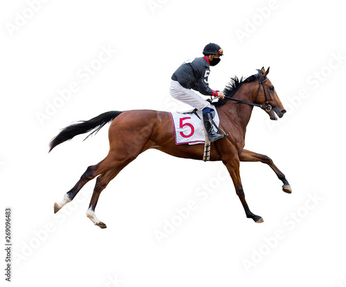 horse racing jockey isolated on white background © Dikkens