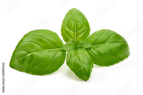 Basil leaves, fresh spice, close-up, isolated on white background