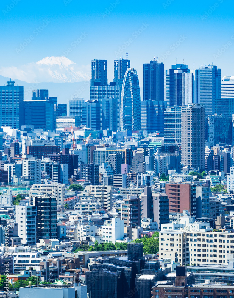 Fototapeta premium 富士山と東京都市風景 縦位置