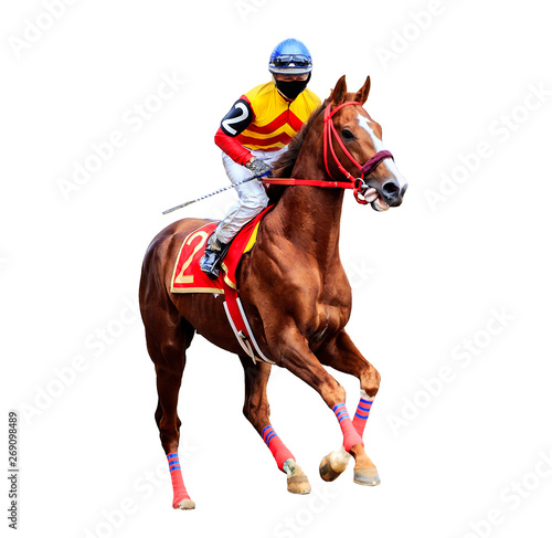 horse racing jockey isolated on white background