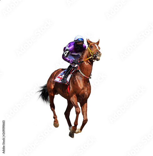 horse racing jockey isolated on white background