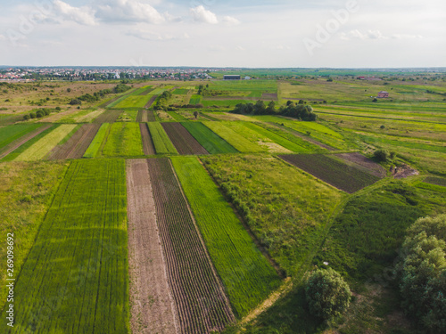 aerial view of farming fields © phpetrunina14