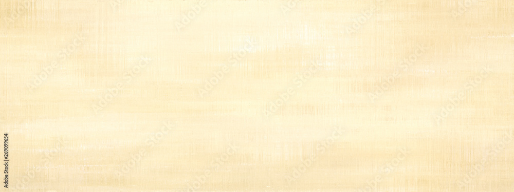 Grunge panoramic scratched texture. Grunge panoramic scratched texture.