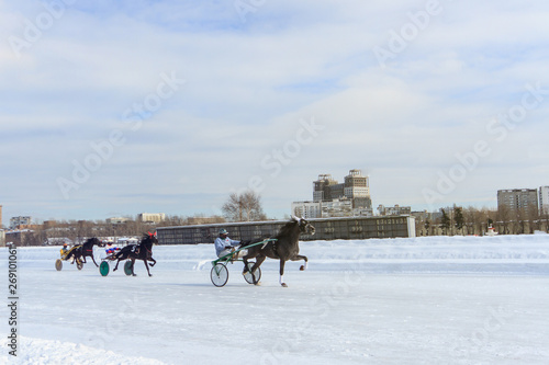 races in winter at the racetrack, horse racing jockey © Dikkens