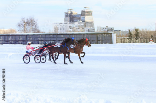 horse racing jockey, winter race trot on the racetrack