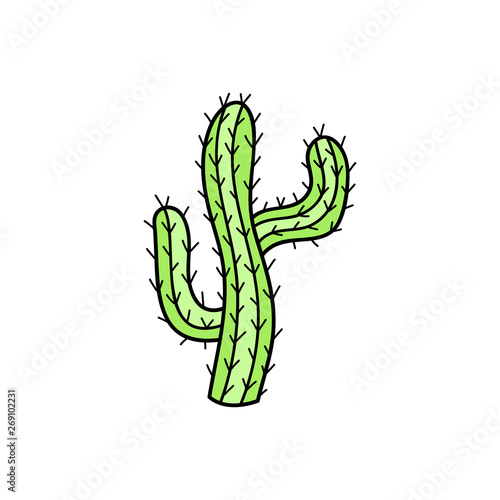 Cute hand drawn cactus vector illustration. Green mexican, desert cactus with spines, isolated.