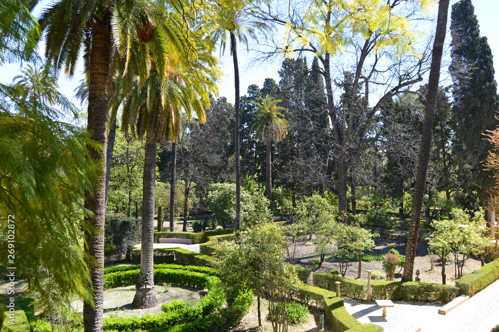 View from gardens in Alcazar de Sevilla, Spain