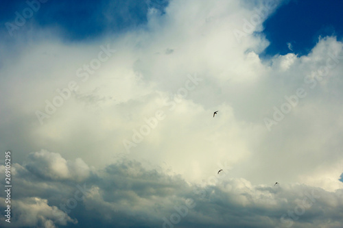 summer spring cloudy blue sky