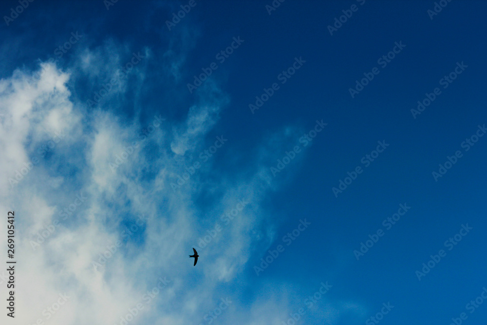 summer spring cloudy blue sky