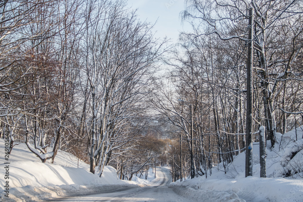 The road in the winter forest. Snow picture. Branches of trees in the snow hang over the road. The road in the winter forest. Snow picture. Branches of trees in the snow hang over the road.
