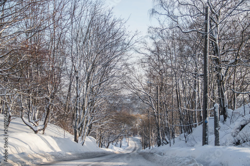 The road in the winter forest. Snow picture. Branches of trees in the snow hang over the road. © alenka2194