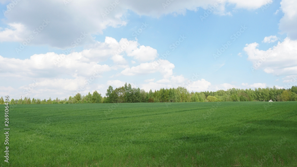 Green field, trees and blue sky.Great as a background