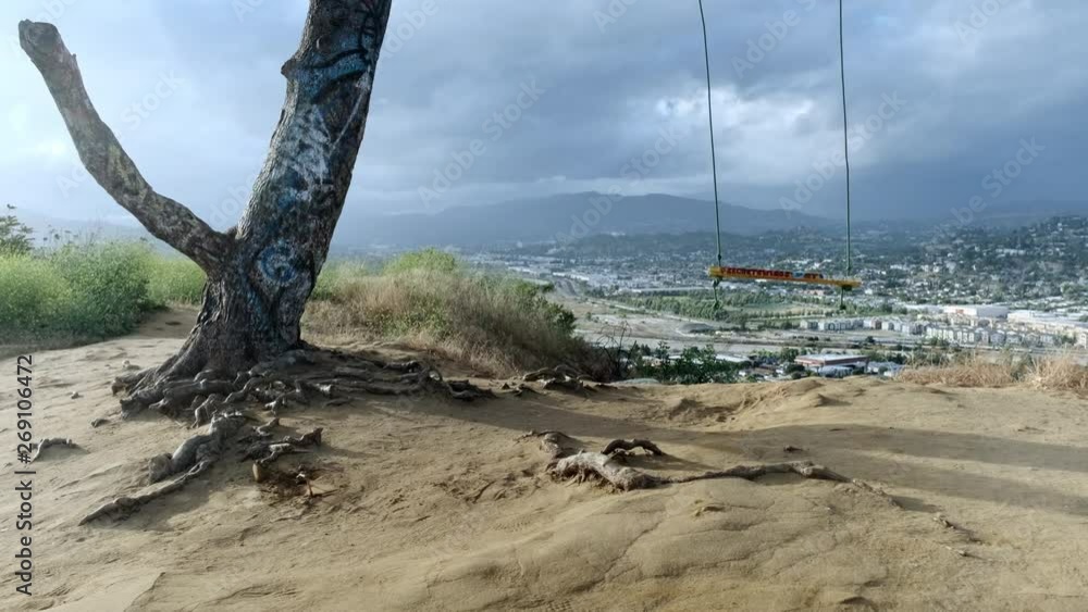 Dreamy Tree Swing Swaying Gently Overlooking Los Angeles on a Windy Day Dreamy Tree Swing Swaying Gently Overlooking Los Angeles on a Windy Day