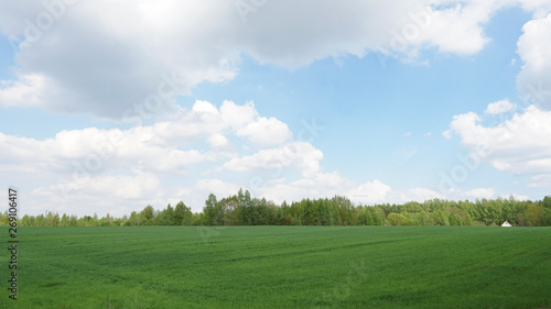 Green field  trees and blue sky.Great as a background