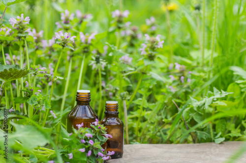 pharmaceutical bottle of medicine from Thymus vulgaris  common thyme  German  garden or just thyme on a wooden table. Preparation of medicinal plants. Ready potion of grass. Ethnoscience.
