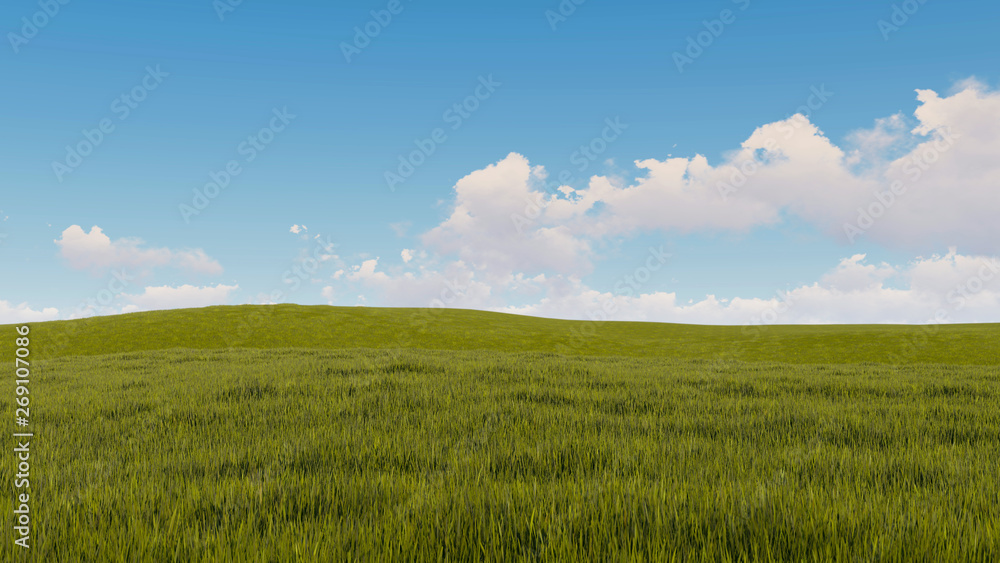 sky and grass background 3D Rendering