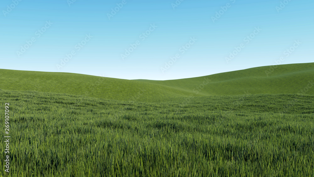 sky and grass background 3D Rendering