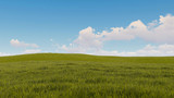 sky and grass background 3D Rendering