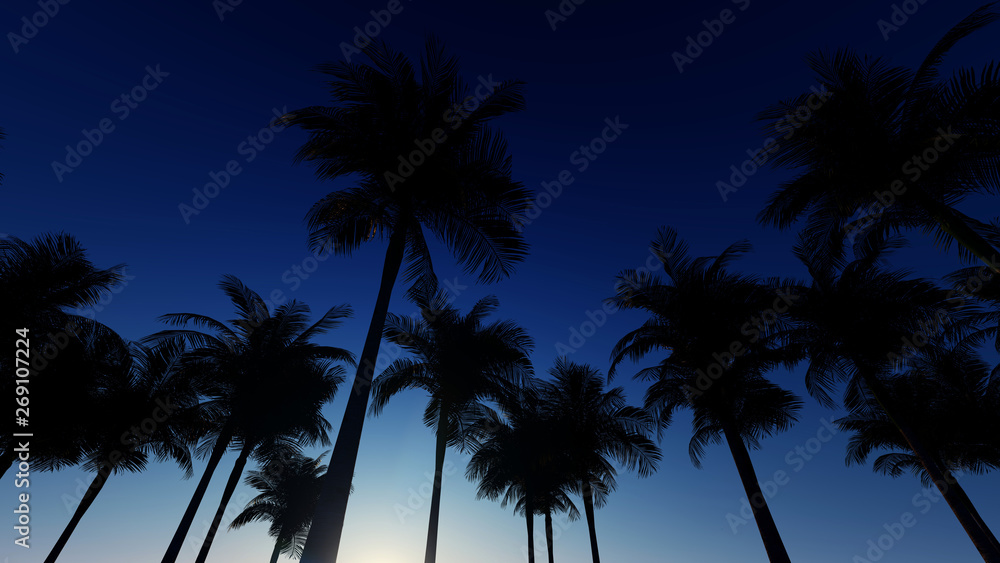 Palm Sunset Background 3D Rendering