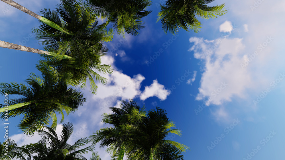 Palm Nature Background 3D Rendering Palm Nature Background 3D Rendering