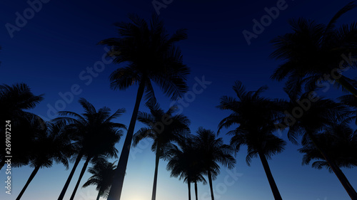 Palm Sunset Background 3D Rendering