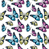 Bright colorful flying butterflies seamless pattern on white background.