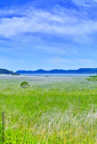 北海道釧路市、初夏の塘路湖と釧路湿原